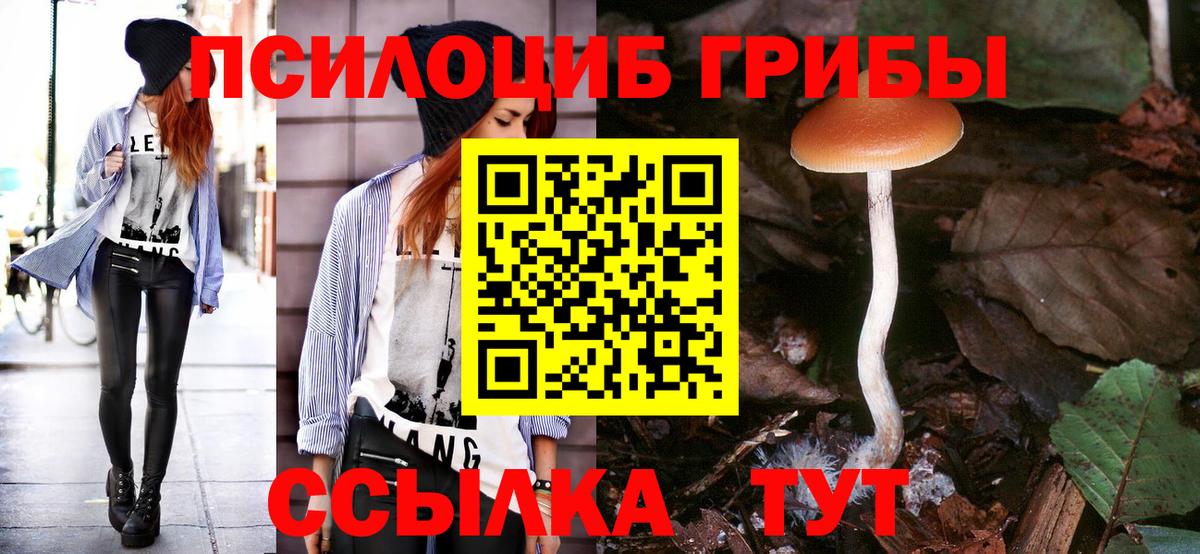 Бузулук  Псилоцибиновые грибы GOLDEN TEACHER  продажа наркотиков  Псилоцибиновые грибы ЛСД  Вход с VPN 