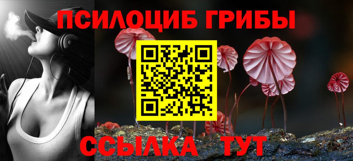 Псилоцибиновые грибы прущие грибы Бузулук